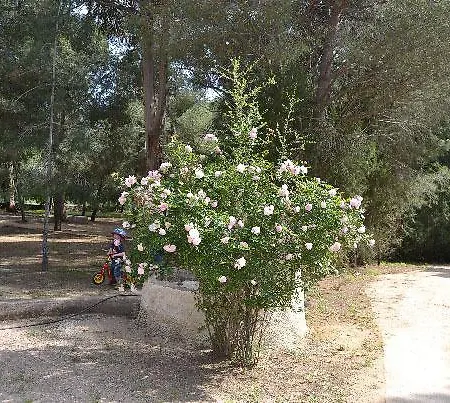 Camping Balanea Corbara