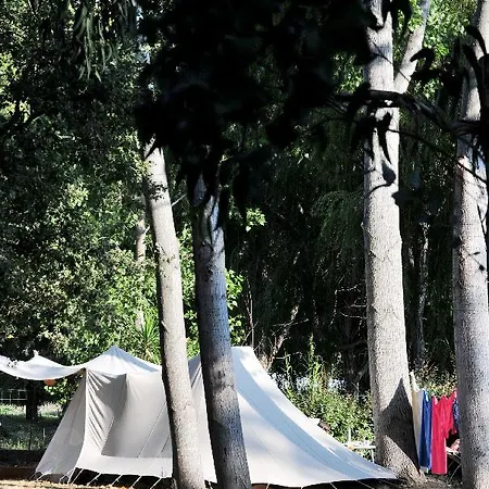 Balanea Corbara